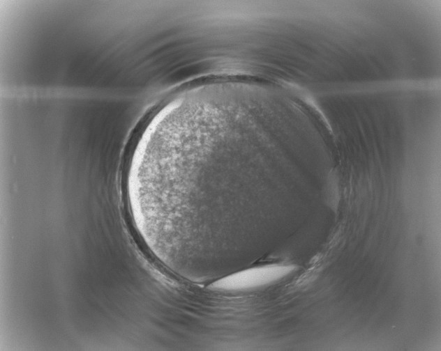 X0000065980935200603311901