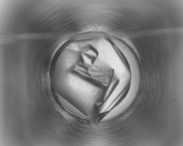 X0000065980936200603311901