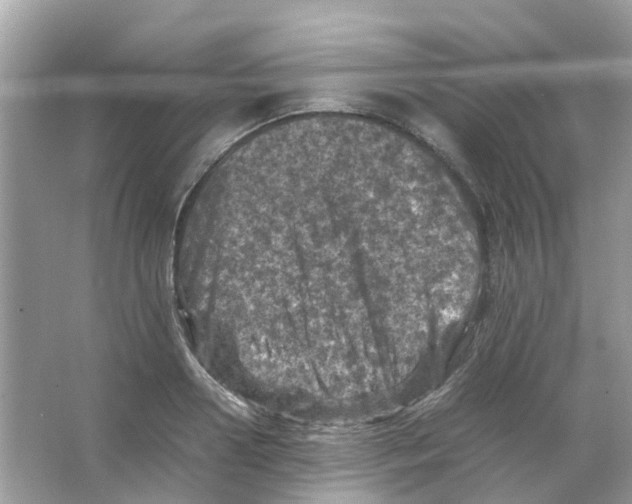 X0000065980938200603311901