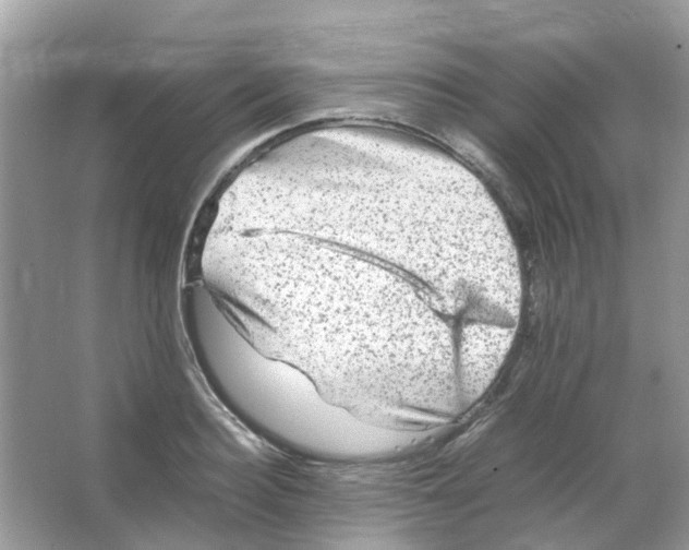 X0000065980940200603311901