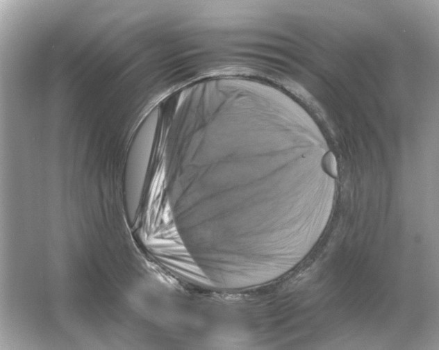 X0000065980945200603311901