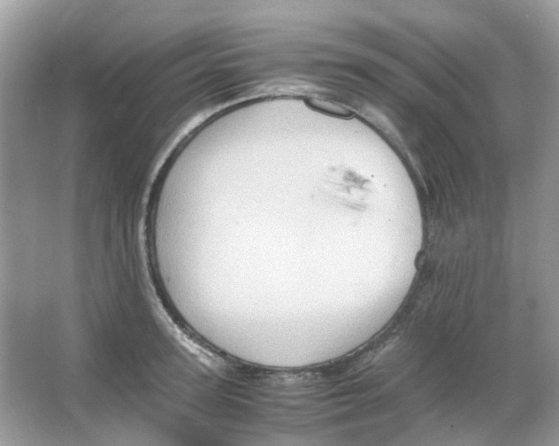 X0000065980947200603311901