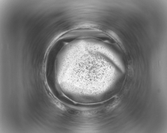 X0000065980948200603311901