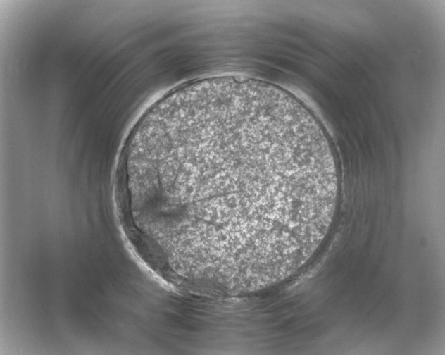 X0000065980949200603311901