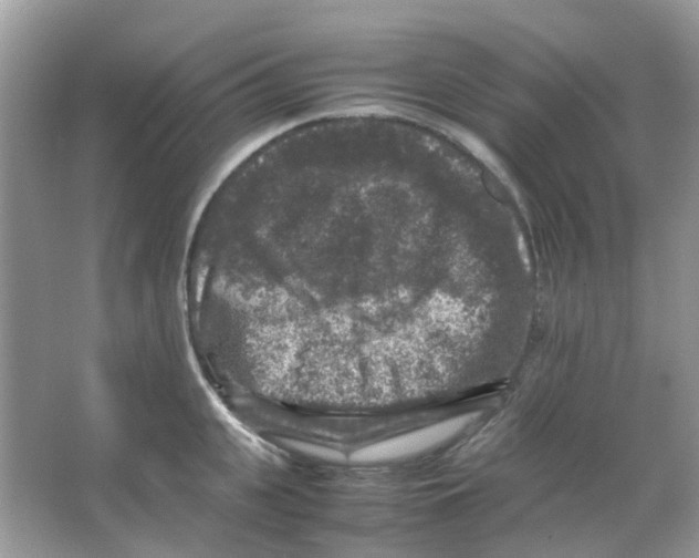 X0000065980951200603311901