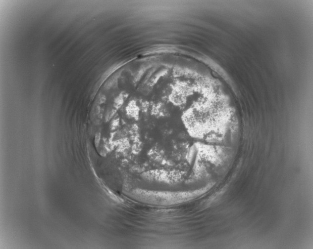 X0000065980953200603311901