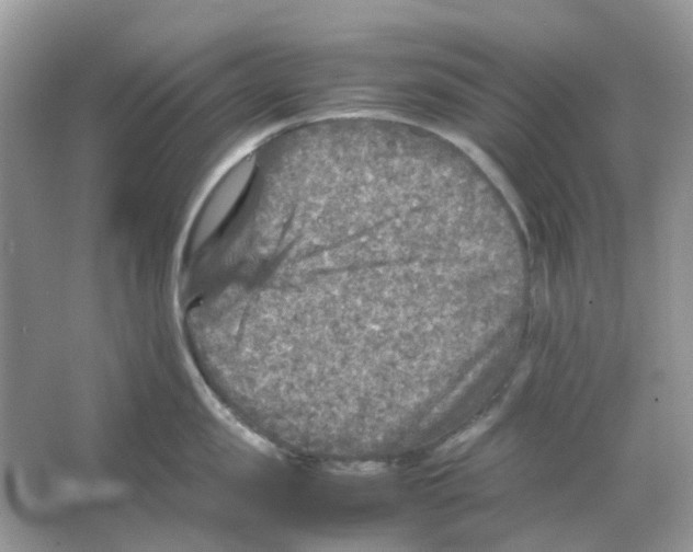 X0000065980957200603311901