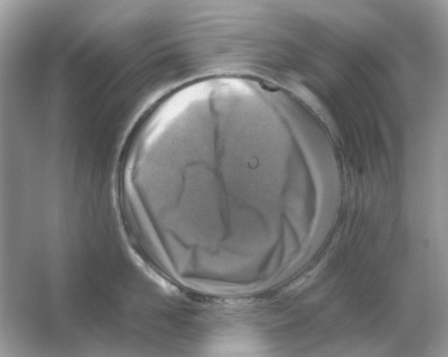 X0000065980958200603311901