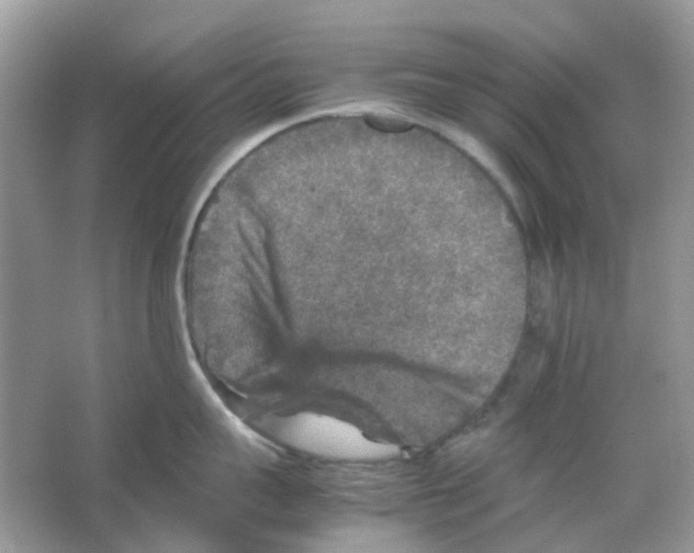 X0000065980959200603311901