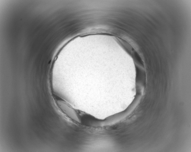 X0000065980960200603311901