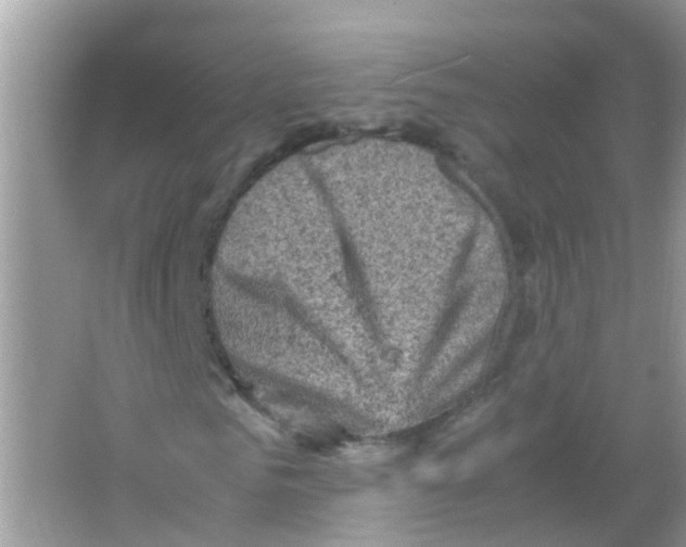 X0000065980961200603311900