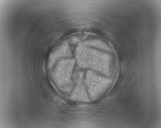 X0000065980963200603311900