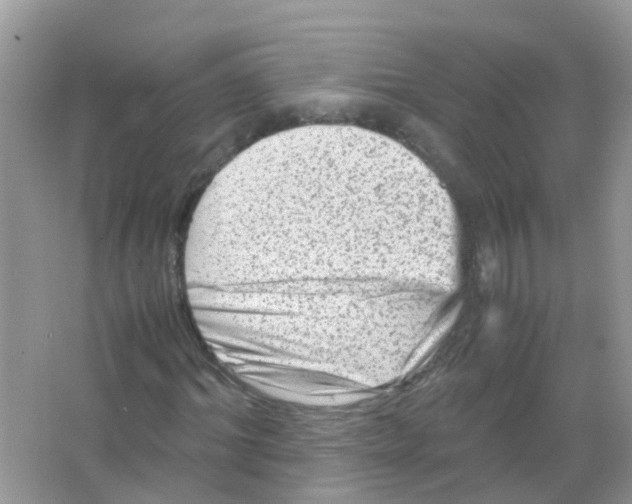 X0000065980964200603311900