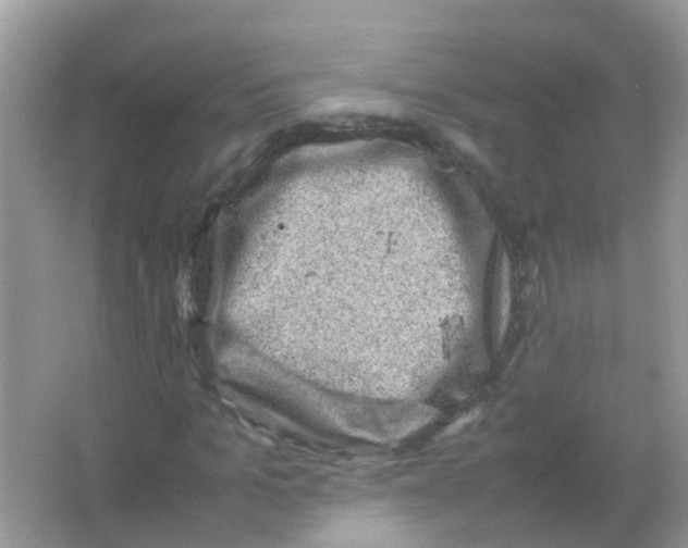 X0000065980965200603311900