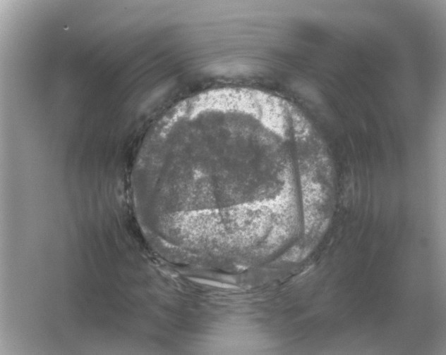 X0000065980966200603311900