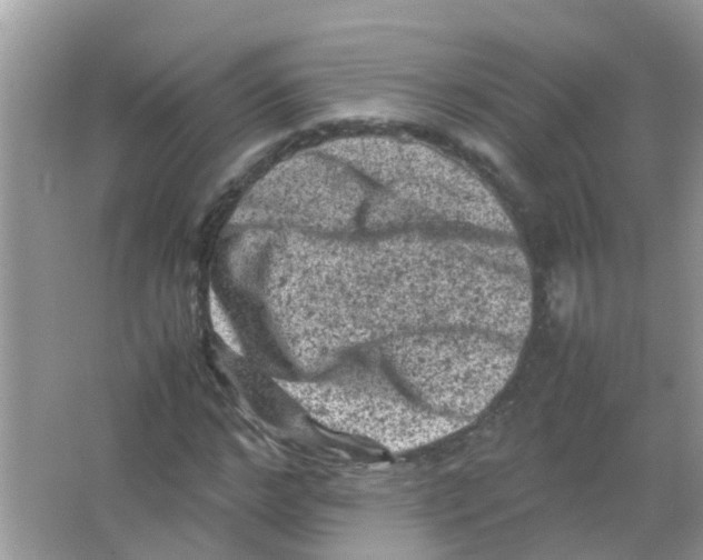 X0000065980968200603311900