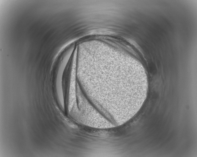 X0000065980971200603311900