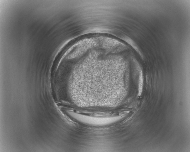 X0000065980972200603311900