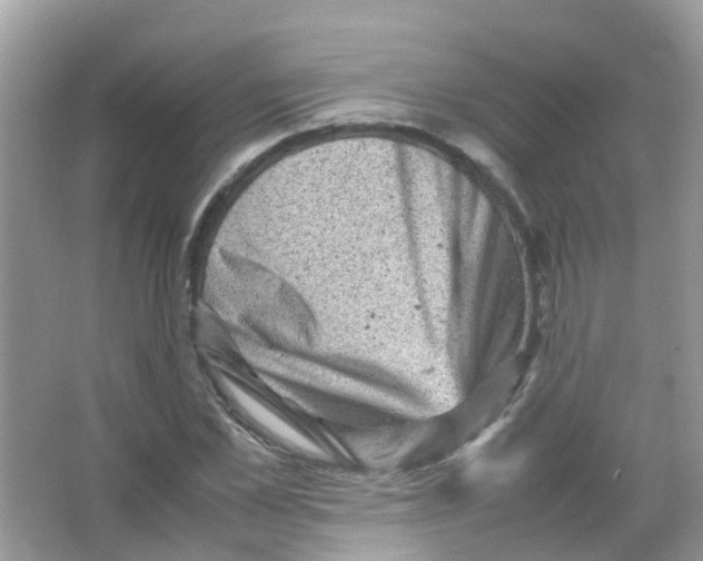 X0000065980973200603311900