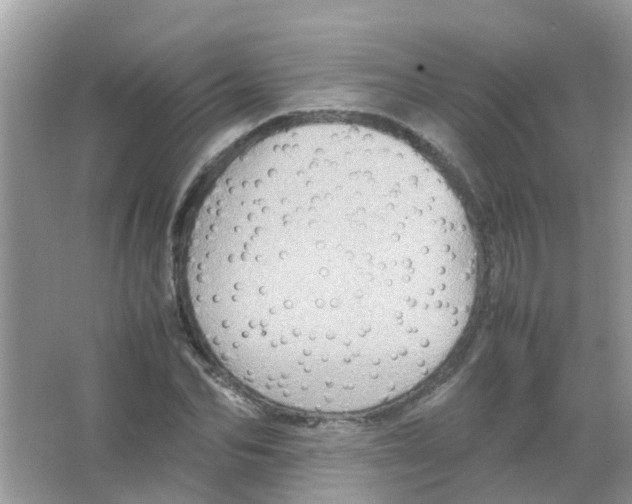 X0000065980974200603311900