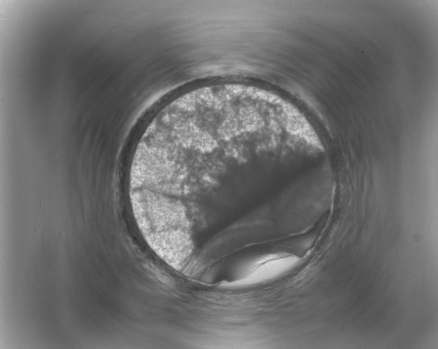 X0000065980975200603311900