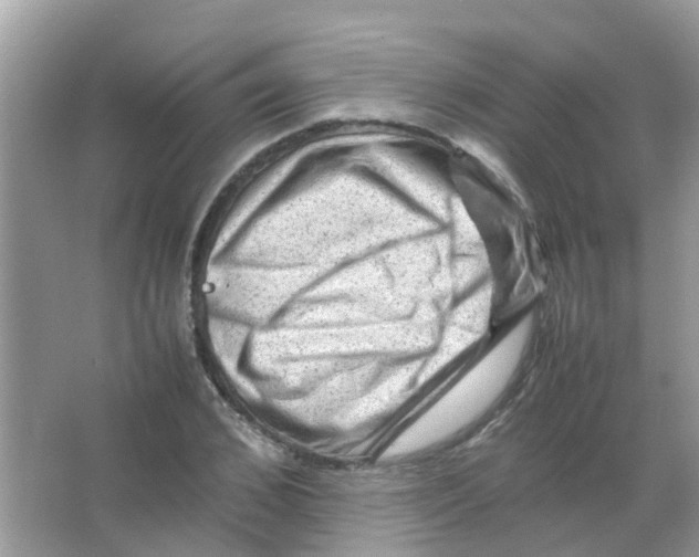 X0000065980976200603311900