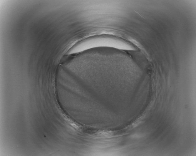 X0000065980977200603311900