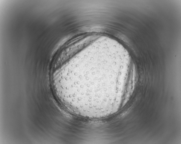 X0000065980978200603311900