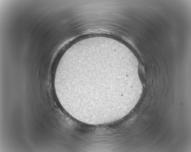 X0000065980979200603311900