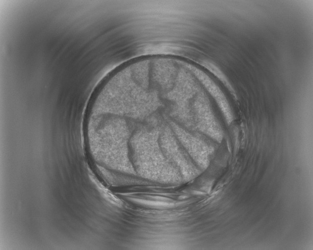 X0000065980980200603311900