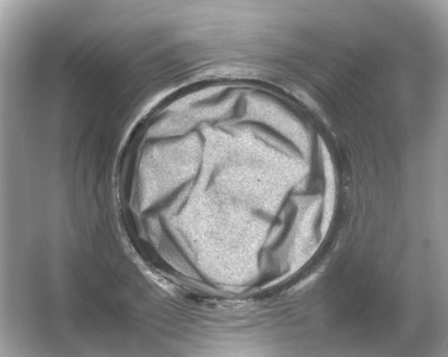 X0000065980981200603311900