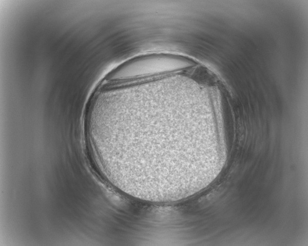 X0000065980982200603311900