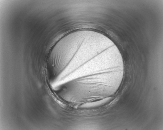 X0000065980985200603311900