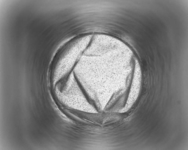 X0000065980987200603311900