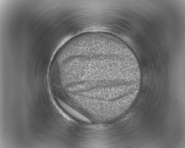 X0000065980990200603311900