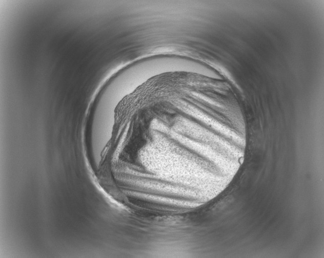 X0000065980991200603311900