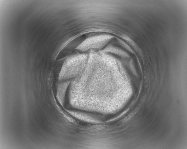 X0000065980993200603311900