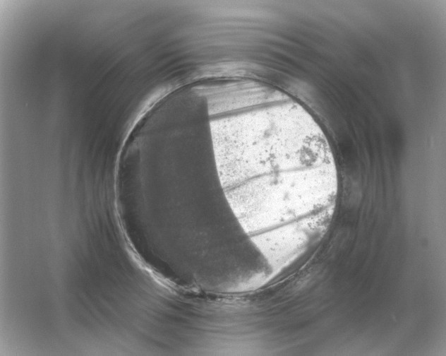 X0000065980994200603311900