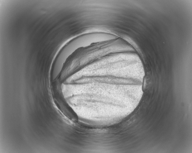 X0000065980996200603311900