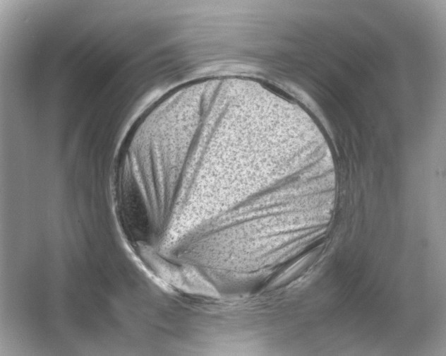 X0000065980997200603311900