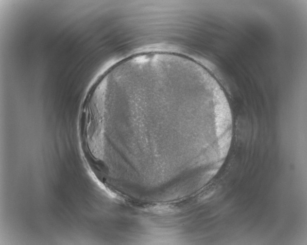 X0000065980998200603311900