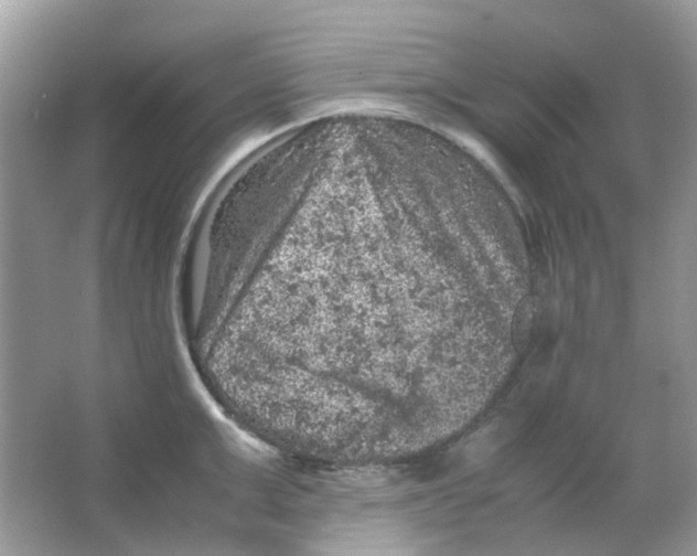 X0000065980999200603311900