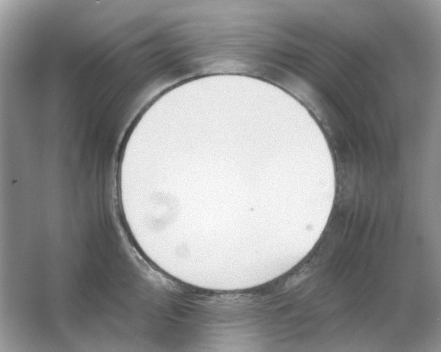 X0000065981000200603311900