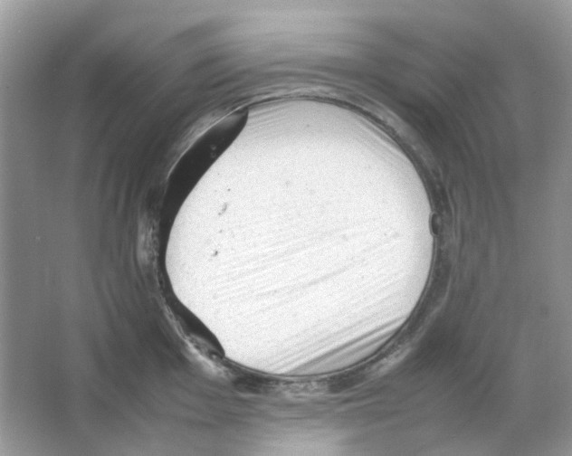 X0000065981001200603311900