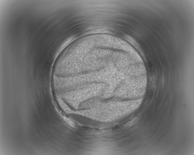 X0000065981002200603311900