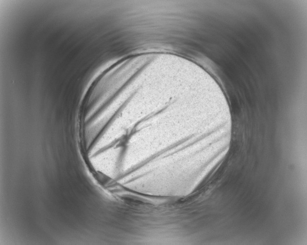 X0000065981003200603311900