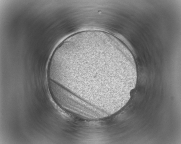 X0000065981004200603311900