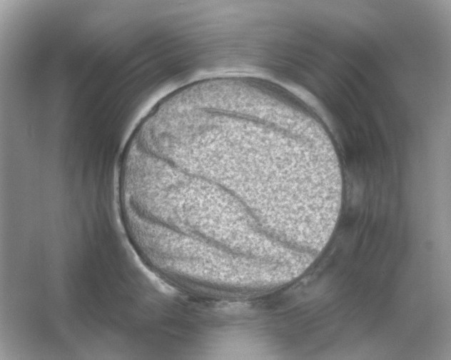 X0000065981006200603311900