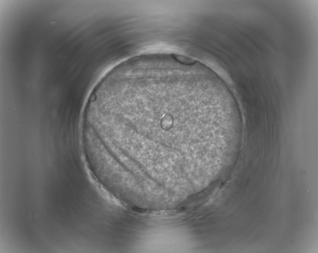 X0000065981008200603311900