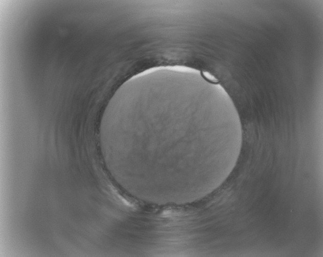 X0000065981009200603311859